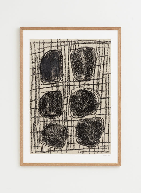 dotted no. 135