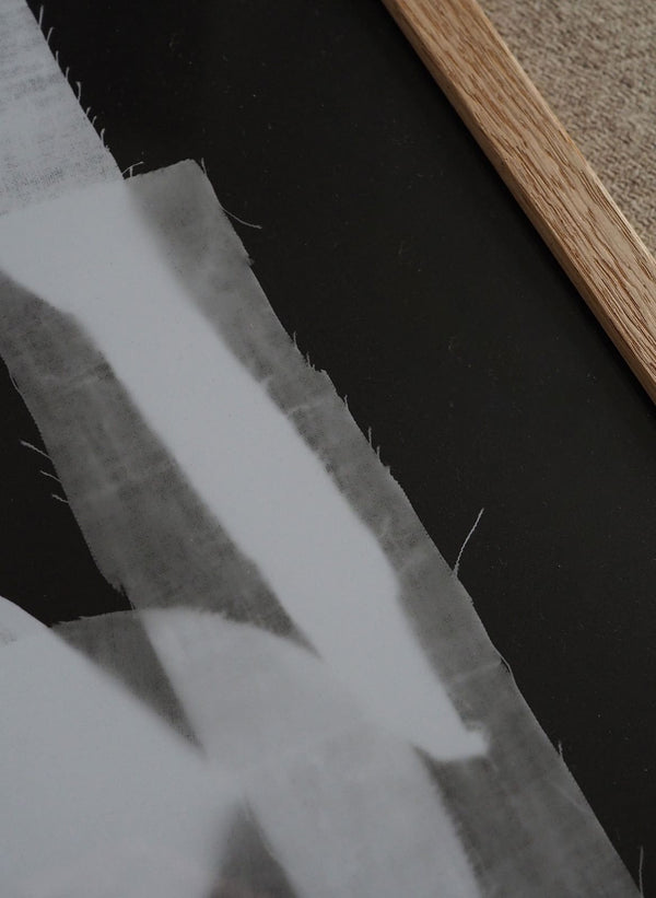 photogram 01