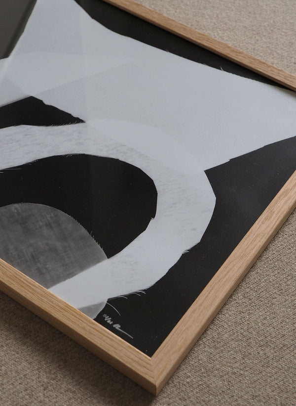 photogram 02