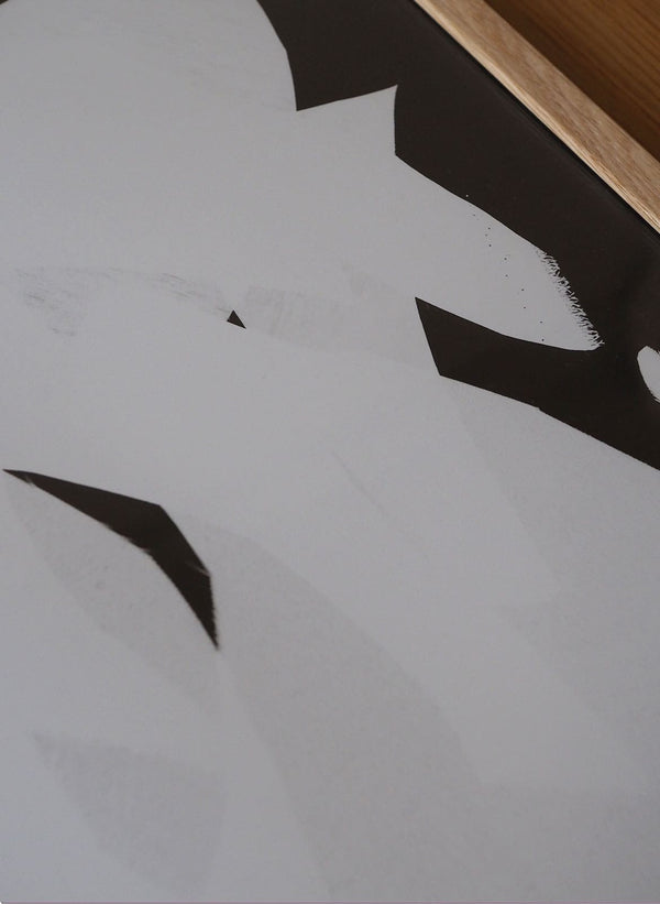 photogram 06
