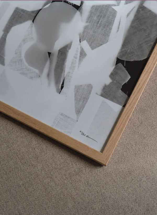 photogram 12