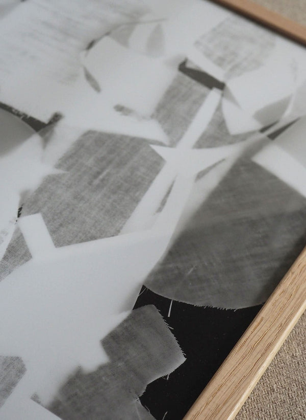 photogram 12