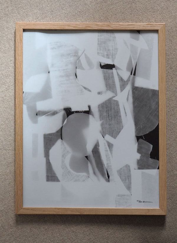 photogram 12